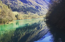 img-4534.jpg