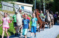 Lamatrekking – ein Erlebnis für die ganze Familie